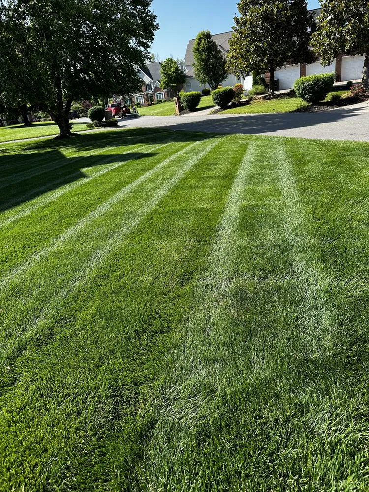 Top-rated landscape design for outdoor upgrades in Proctorville, OH by Luco Lawn Care & Pressure Washing
