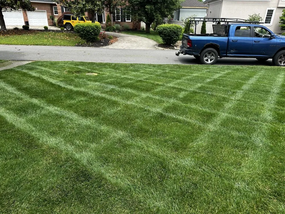 Reliable lawn mowing service experts serving Proctorville, OH - Luco Lawn Care & Pressure Washing