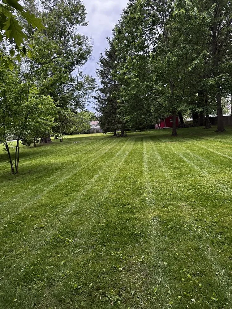 Expert outdoor landscaping in Proctorville, OH - Luco Lawn Care & Pressure Washing