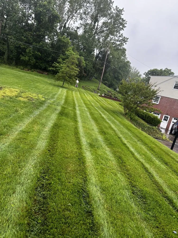 Expert garden landscaping experts serving Proctorville, OH - Luco Lawn Care & Pressure Washing
