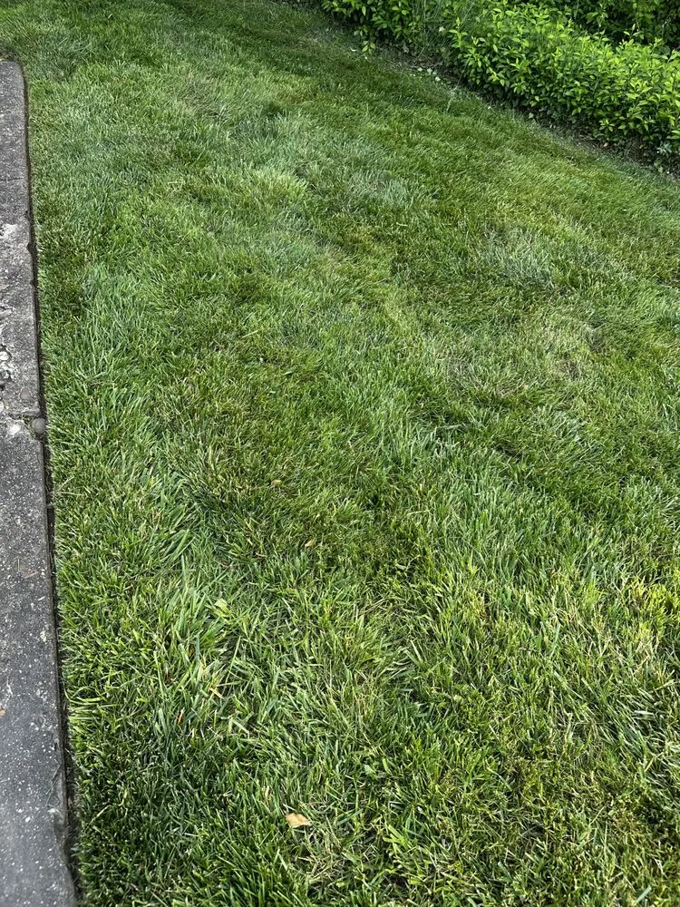 Top-rated garden landscaping for homes across Proctorville, OH - Luco Lawn Care & Pressure Washing