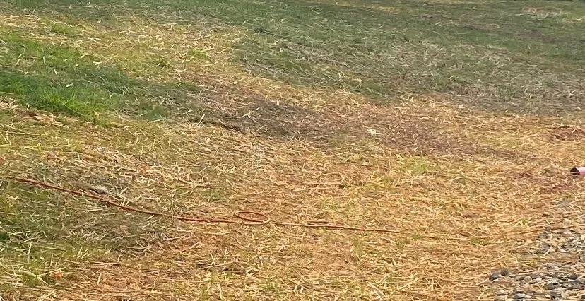 Top-rated landscaping services experts serving Mount Airy, NC - Lucy and Guerreros Welding