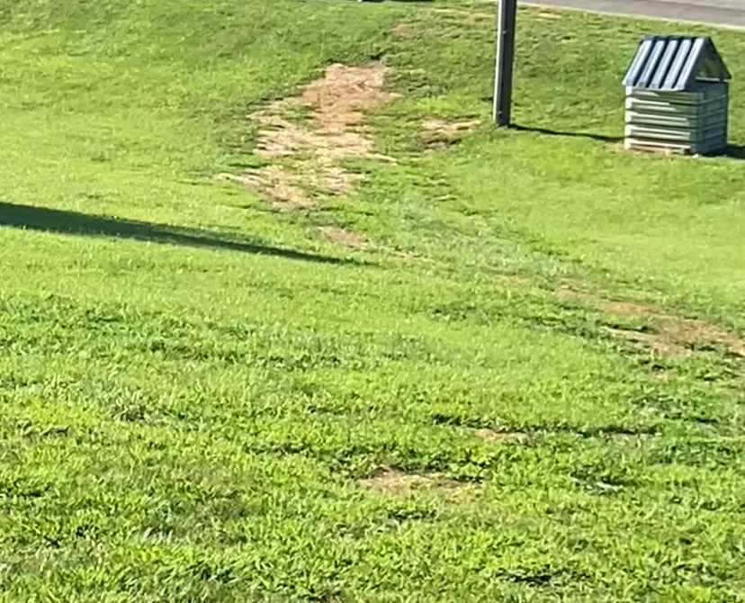 Professional yard cleanup service near you in Mount Airy, NC by Lucy and Guerreros Welding