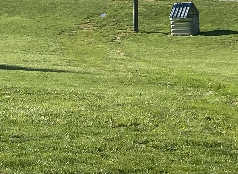 Expert yard maintenance experts serving Mount Airy, NC - Lucy and Guerreros Welding