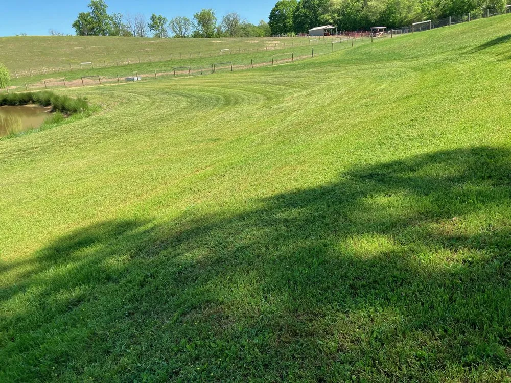 Affordable residential landscaping in Mount Airy, NC - Lucy and Guerreros Welding