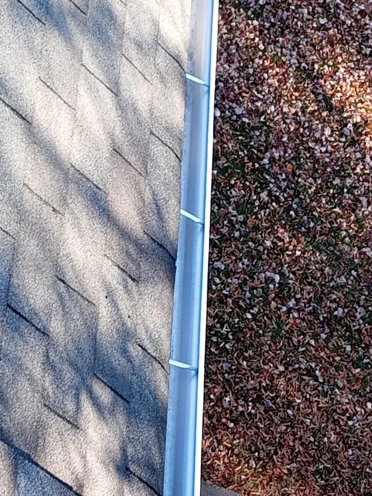 Affordable landscaping services in Manassas, VA - Lucy Garden Care