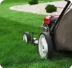 Local lawn mowing service for beautiful yards in Fort Pierce, FL by Lucy Professional Cleaning Services