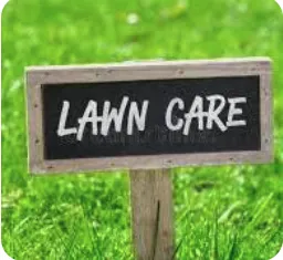 Expert residential landscaping experts serving Fort Pierce, FL - Lucy Professional Cleaning Services