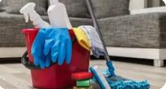 Custom landscaping services in Fort Pierce, FL - Lucy Professional Cleaning Services