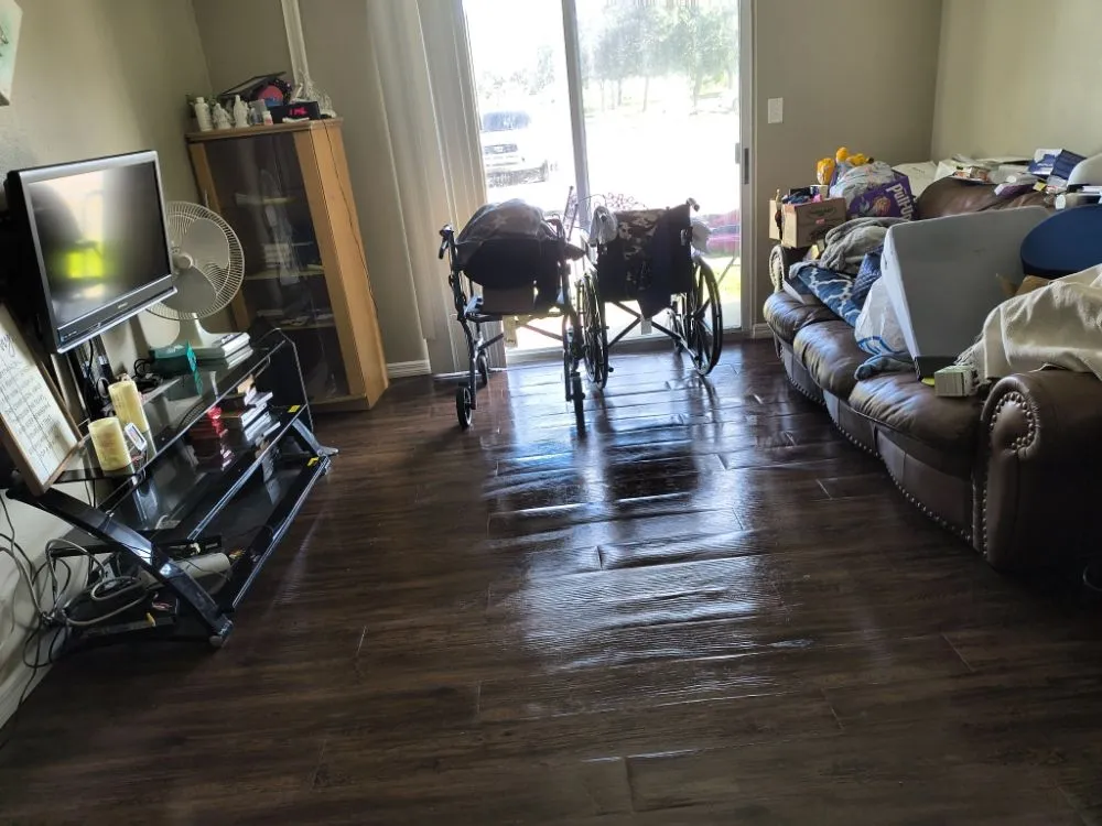 Expert landscape design experts serving Fort Pierce, FL - Lucy Professional Cleaning Services