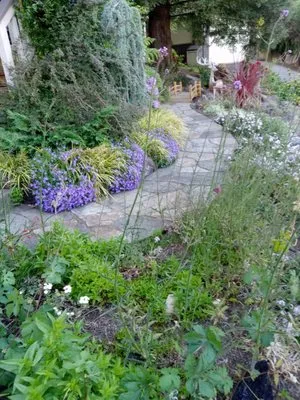 Lucy's Cleaning And Landscaping Logo