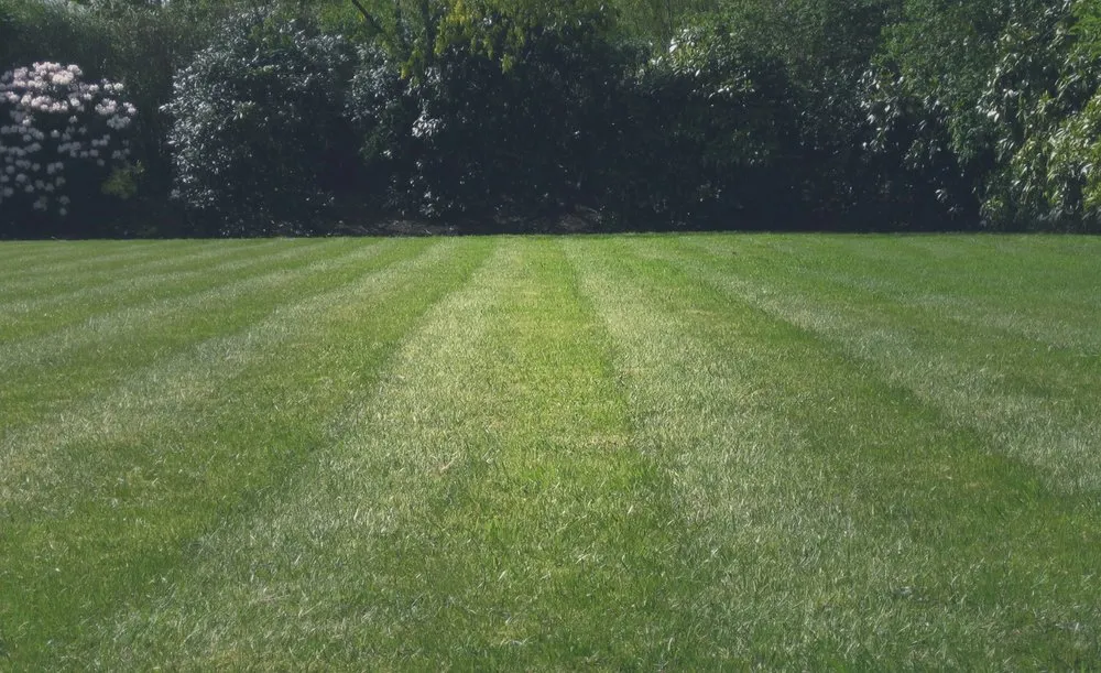 Top-rated lawn mowing service for homes in Marietta, GA by Lucy's Landscape