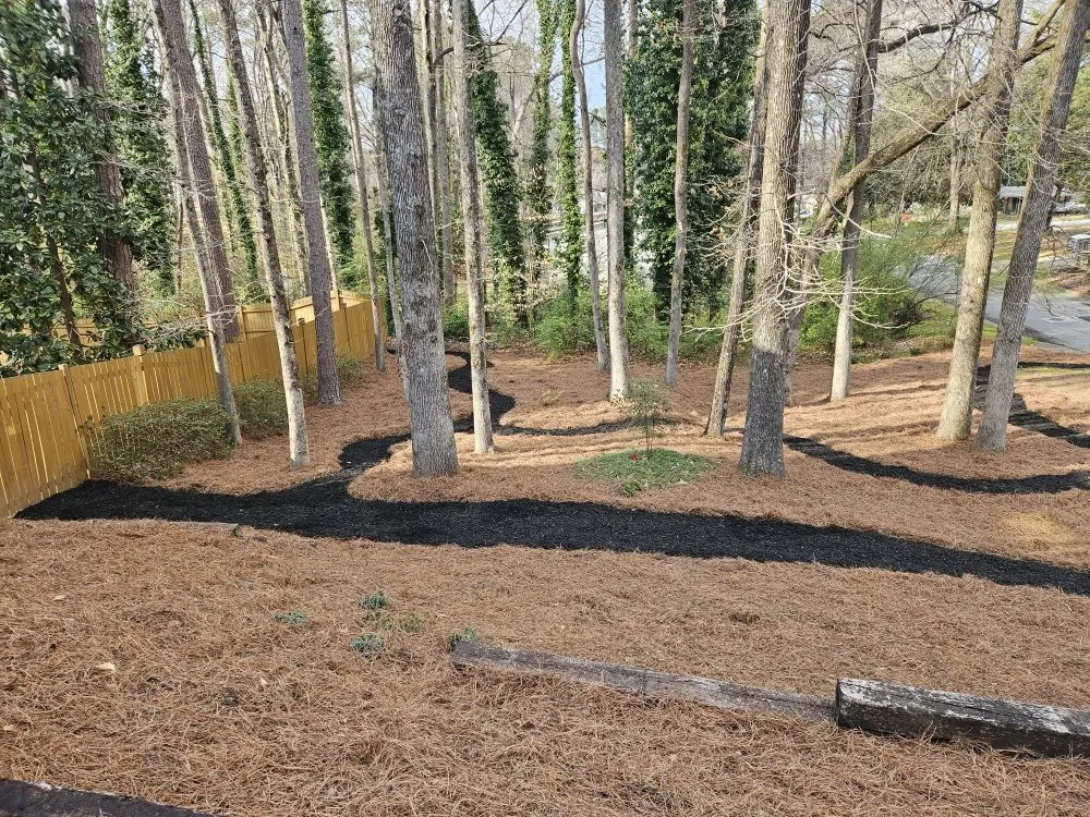 Affordable outdoor landscaping in Marietta, GA - Lucy's Landscape