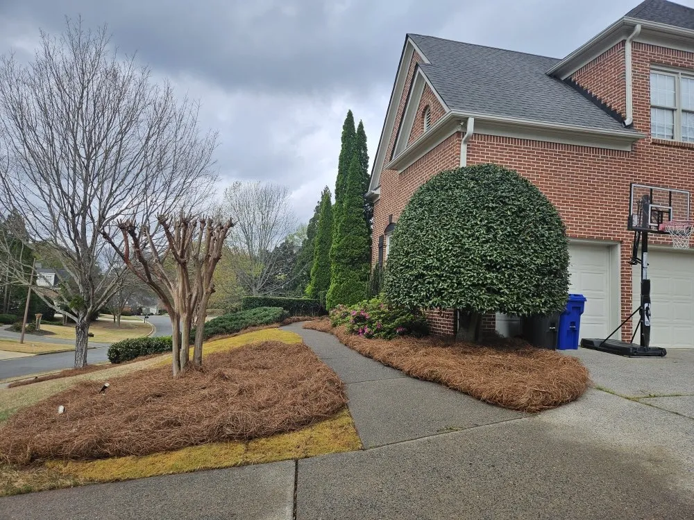 Affordable residential landscaping for year-round maintenance across Marietta, GA - Lucy's Landscape