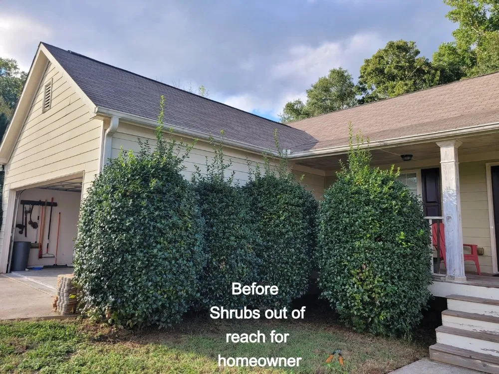 Custom yard cleanup service in Marietta, GA by Lucy's Landscape