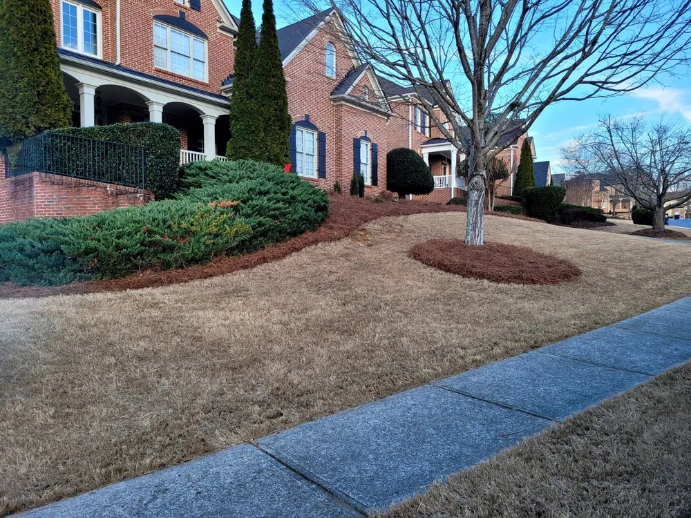 Top-rated landscape design with custom design across Marietta, GA - Lucy's Landscape