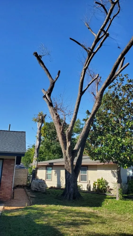 Affordable yard maintenance near you across Brookshire, TX - Ludka Services