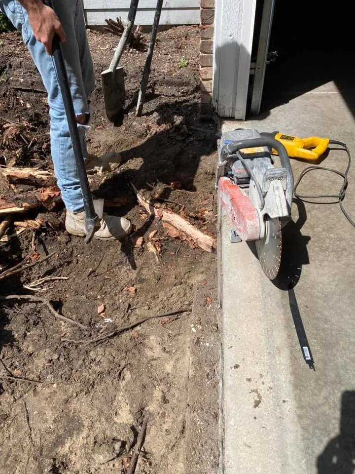 Reliable lawn care service for year-round maintenance across Champaign, IL - Ludwig Bros