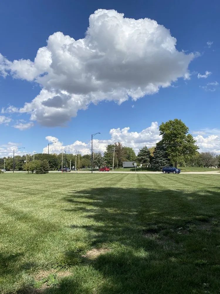 Professional landscaping services with custom design in Champaign, IL by Ludwig Bros