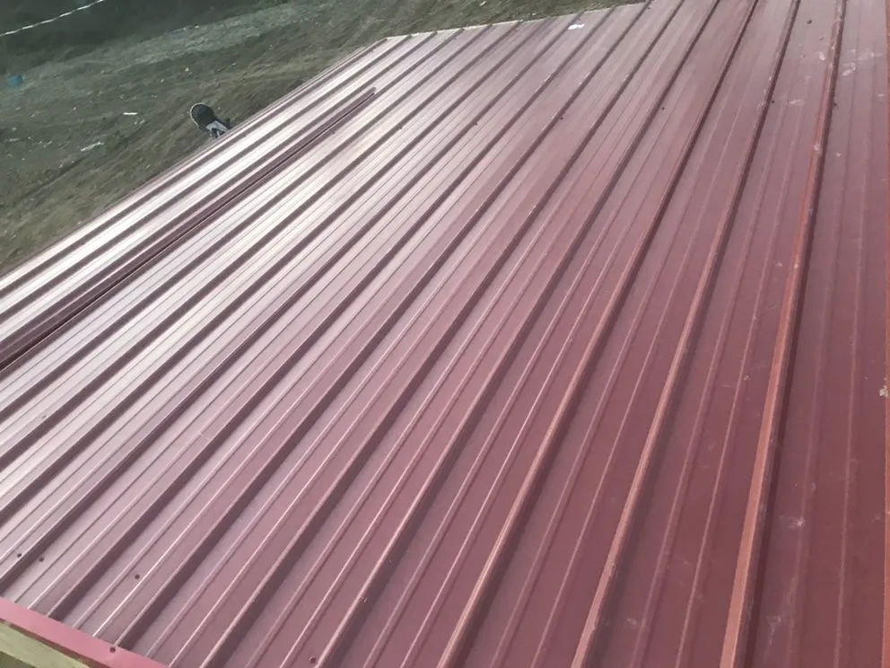 Local yard cleanup service in Olive Hill, KY by Ludwig Maintenance