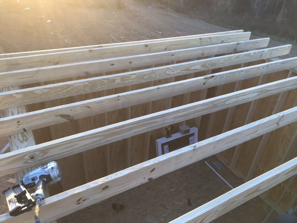 Expert yard cleanup service for year-round maintenance in Olive Hill, KY by Ludwig Maintenance