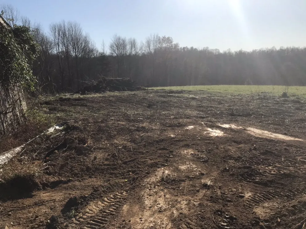 Trusted landscape design in Olive Hill, KY by Ludwig Maintenance