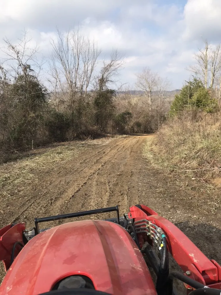 Top-rated garden landscaping in Olive Hill, KY by Ludwig Maintenance