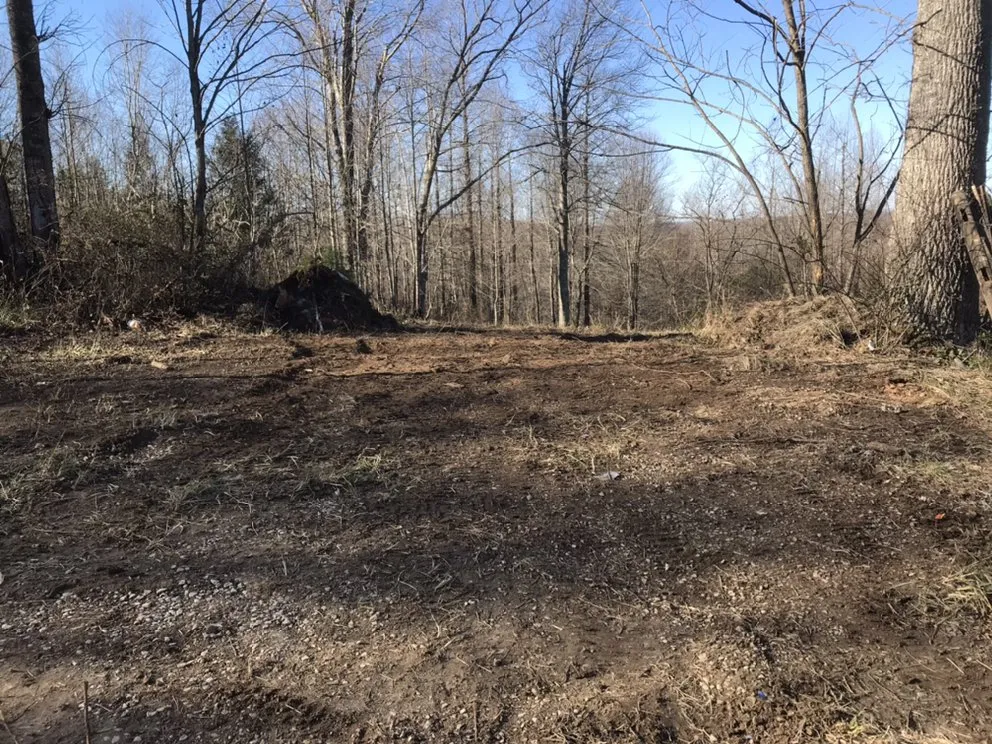 Affordable yard cleanup service in Olive Hill, KY - Ludwig Maintenance