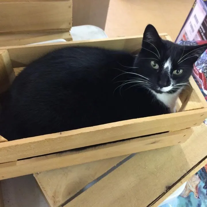 Affordable residential landscaping for year-round maintenance in Glenmoore, PA by Ludwigs Corner Supply