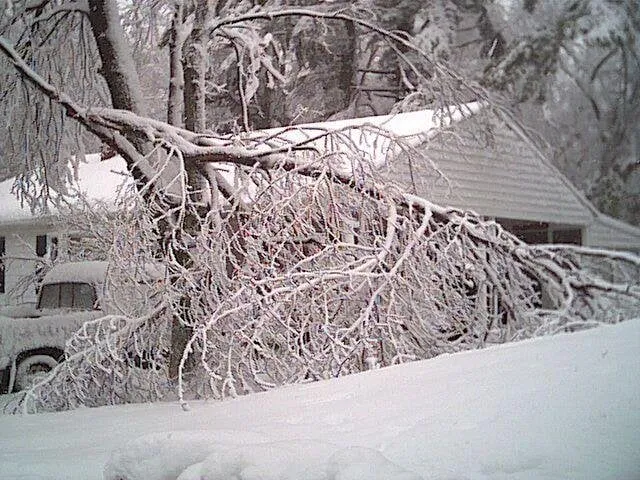 Top-rated outdoor landscaping in Great Falls, VA by Ludy's Landscaping