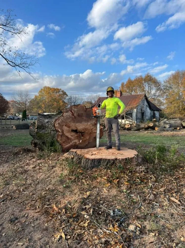 Top-rated landscape design near you across Summerville, GA - Ludy's Tree Service & Landscaping