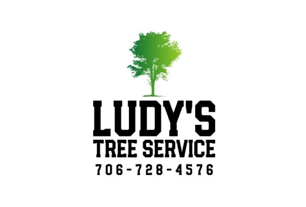 Reliable landscaping services experts serving Summerville, GA - Ludy's Tree Service & Landscaping
