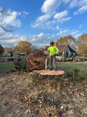 Ludy's Tree Service & Landscaping