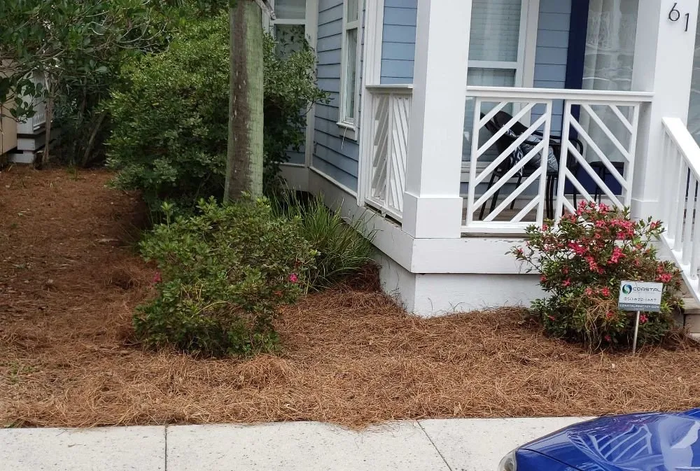 Expert landscaping services in Santa Rosa Beach, FL by Luebano Lawn Service