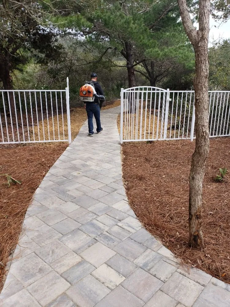 Local yard cleanup service in Santa Rosa Beach, FL by Luebano Lawn Service