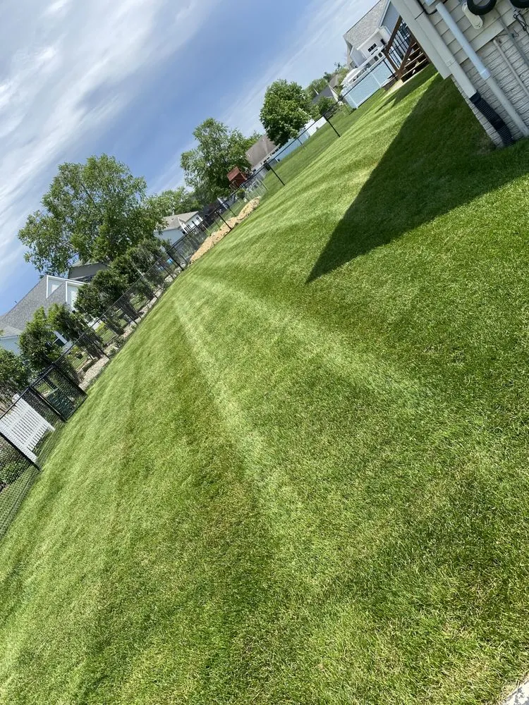 Local landscaping services in Cedar Rapids, IA - Lueda lawn care