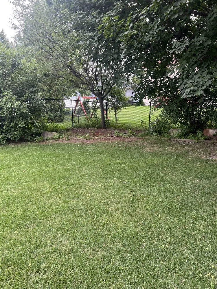 Professional lawn care service in Cedar Rapids, IA - Lueda lawn care