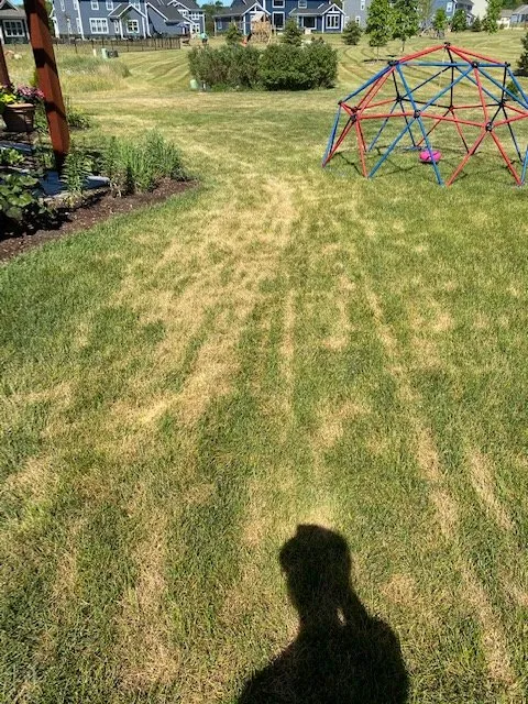 Professional lawn care service in Cedarburg, WI - Lueder's Lawn Seeding & Trucking