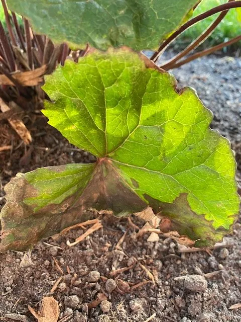 Reliable garden landscaping in Cedarburg, WI - Lueder's Lawn Seeding & Trucking