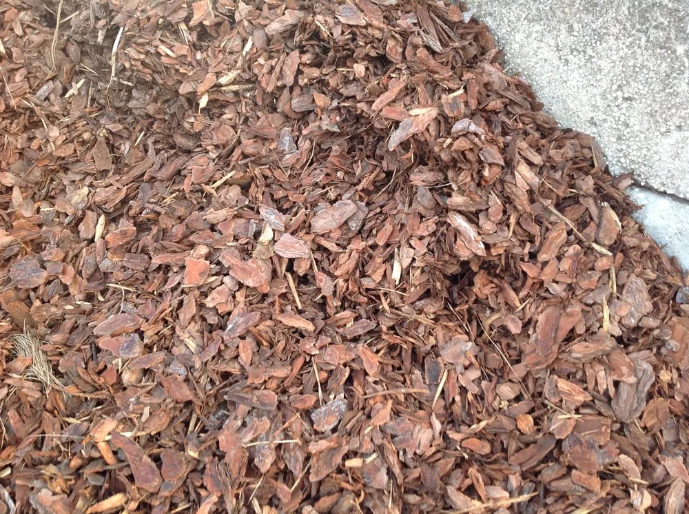 Reliable lawn mowing service for beautiful yards across Saint Petersburg, FL - Lufkin's Landscape