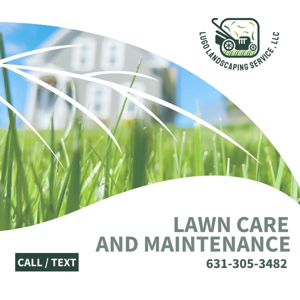 Professional yard cleanup service in Patchogue, NY by Lugo Landscaping Service