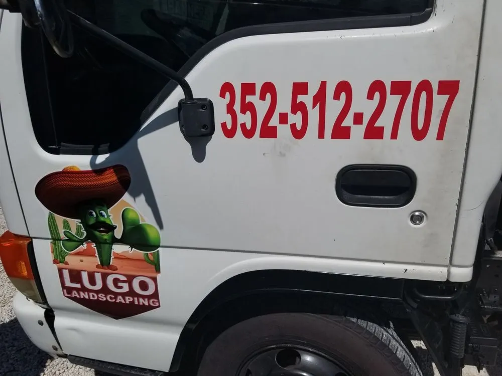 Expert yard cleanup service experts serving Belleview, FL - Lugo Lawn Maintenance and Landscaping