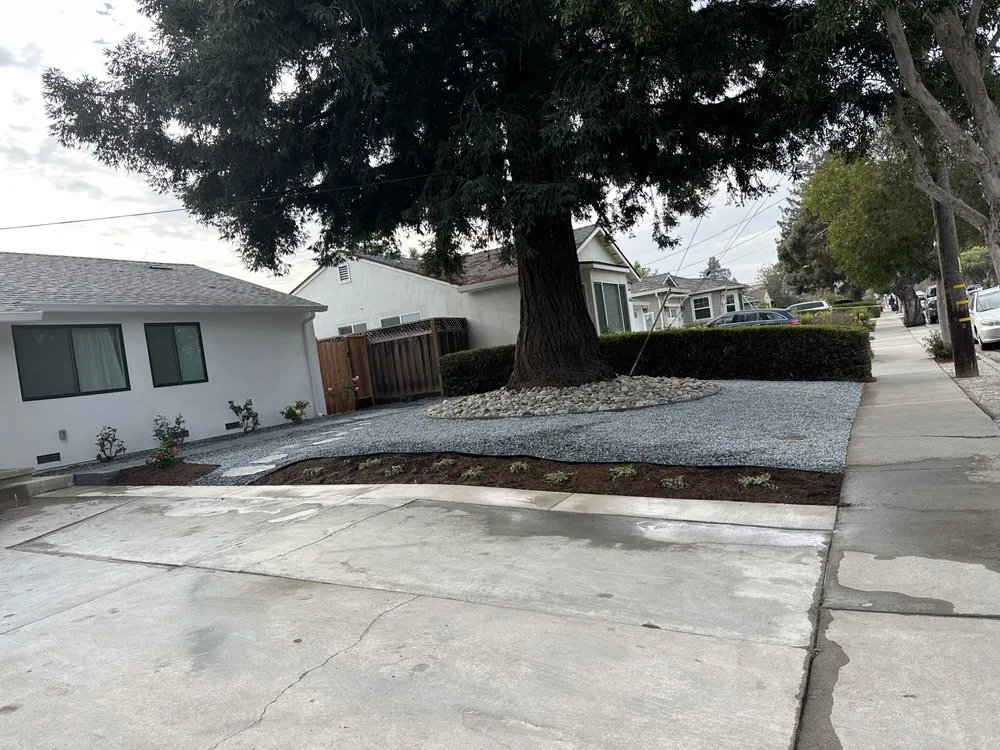 Reliable landscaping services in San José, CA by Lugos Gardens