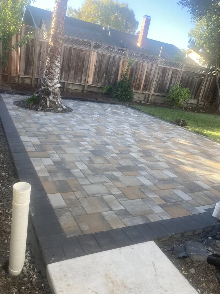 Reliable yard cleanup service in San José, CA by Lugos Gardens