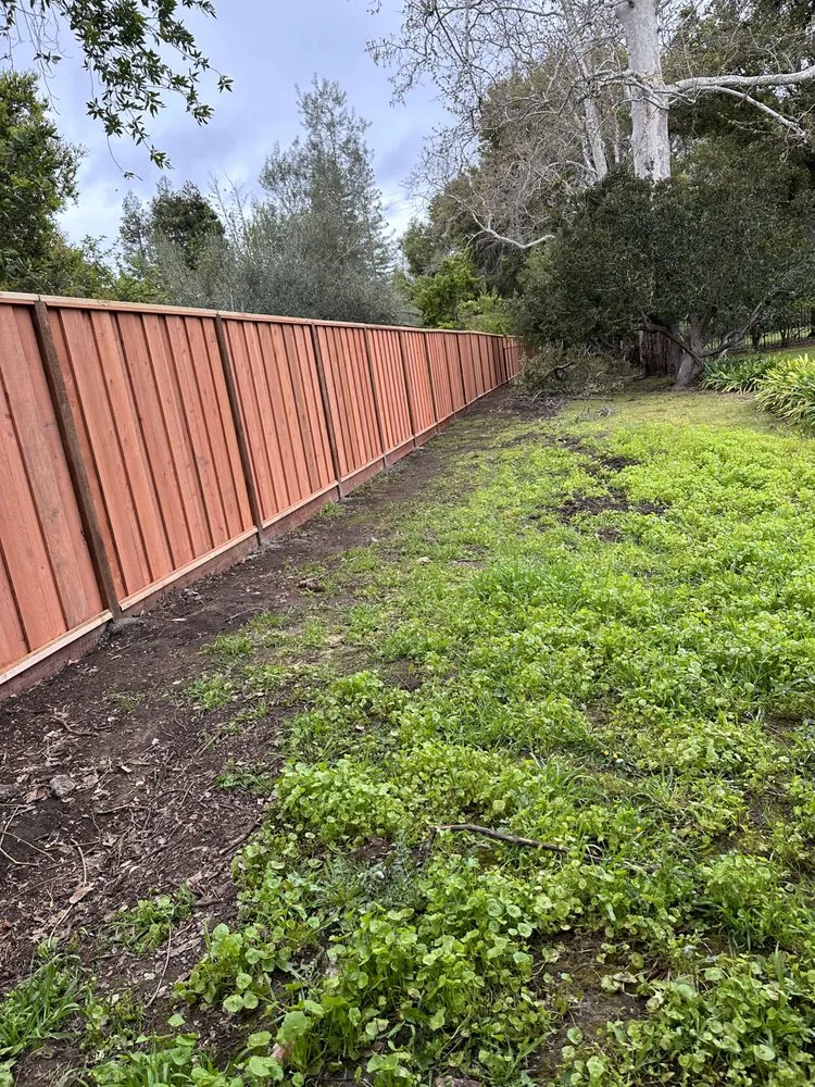 Local landscape design in San José, CA by Lugos Gardens