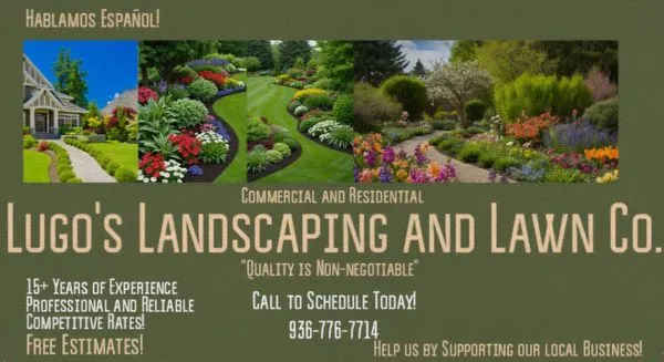 Lugo's Landscaping And Lawn