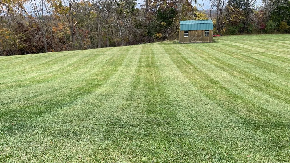 Trusted residential landscaping for year-round maintenance across Greensburg, KY - Lugo’s Lawn and Landscape services