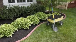 Reliable landscape design experts serving Balch Springs, TX - Lugos Lawn Services