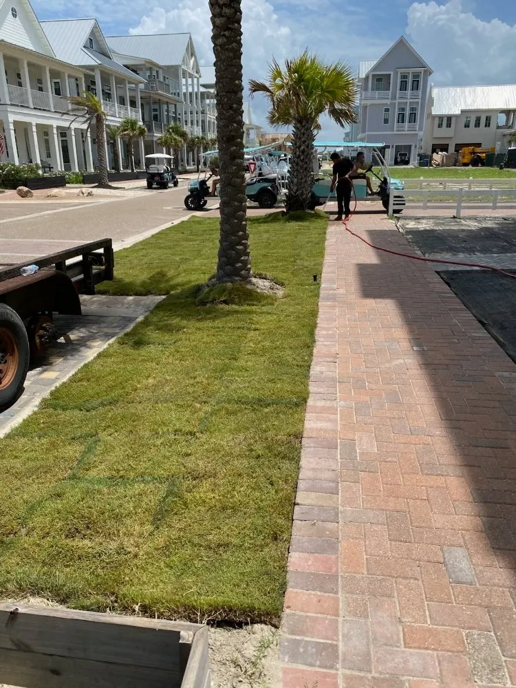 Custom landscaping services for year-round maintenance in Corpus Christi, TX by Lugo's Outdoor Services
