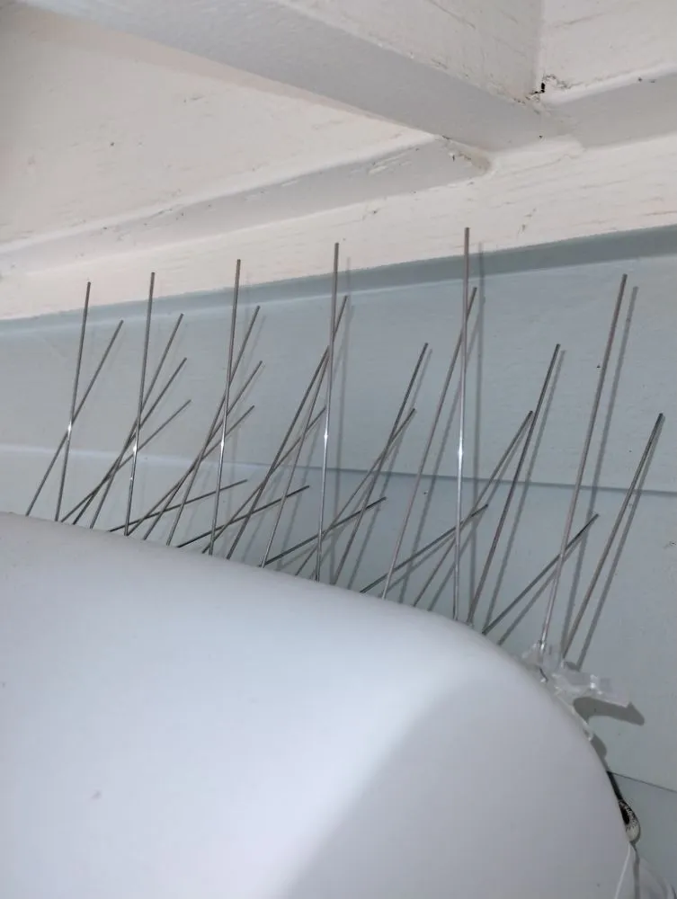 Professional residential landscaping experts serving Corpus Christi, TX - Lugo's Outdoor Services